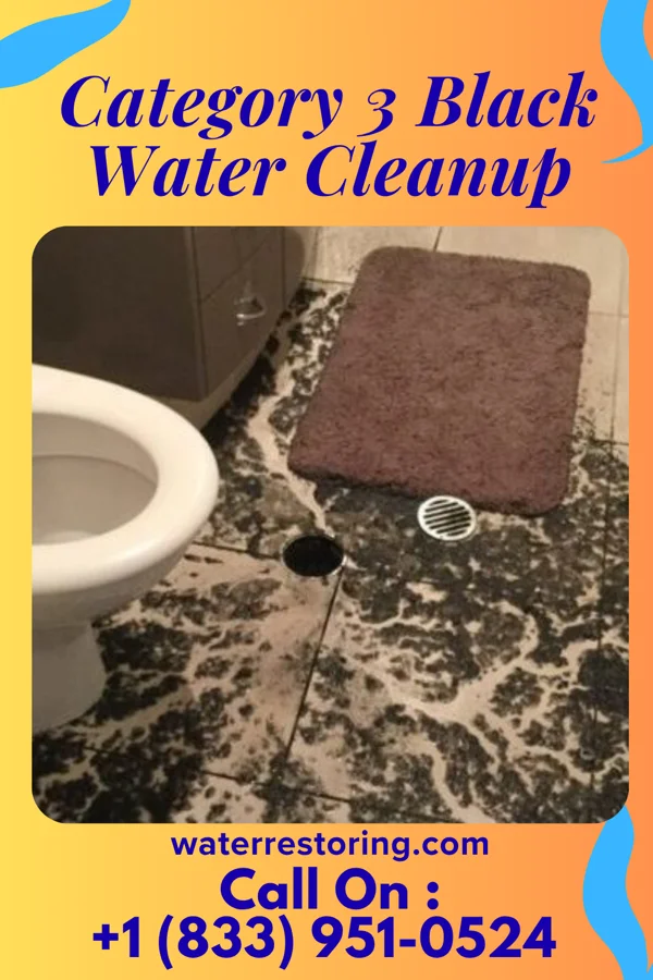 Category 3 Black Water Cleanup in Pottsville, PA