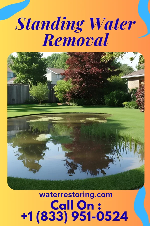 Standing Water Removal in Pottsville, PA